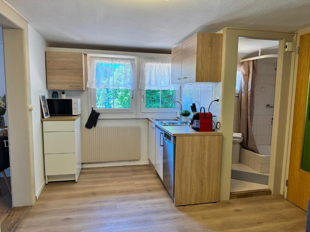 River 4-Kissed Retreat with Iconic Jungfraujoch View - Resim 7