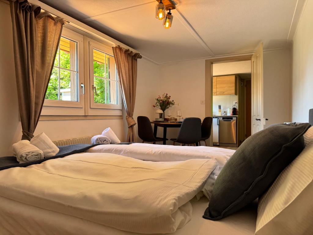 River 4-Kissed Retreat with Iconic Jungfraujoch View - Resim 6