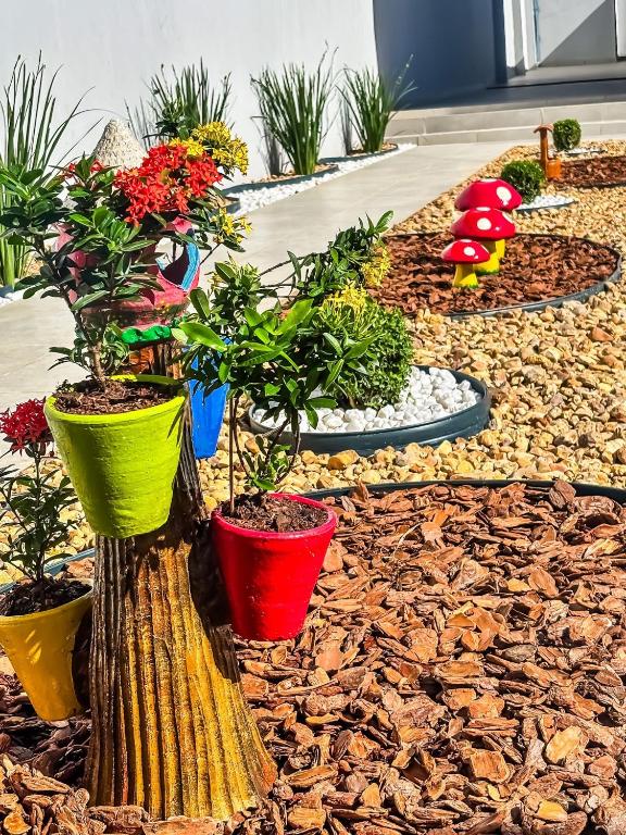 Um jardim no exterior de Vila Imper Host Balsas- Apês com Wi-fi I A/C a 3 min. do Mix Mateus