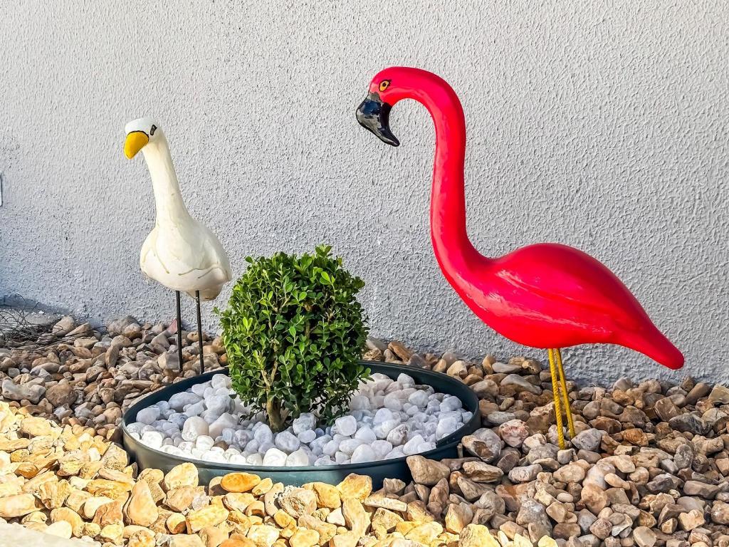 Animais no apartamento ou nos arredores