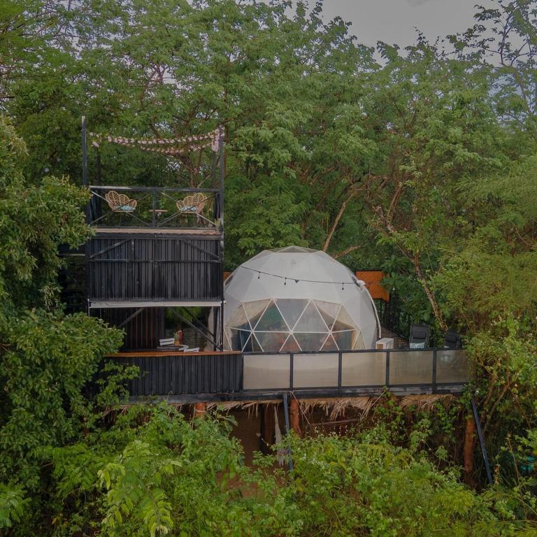 Zahrada ubytování Cocolhu Treehouse & Ocean View