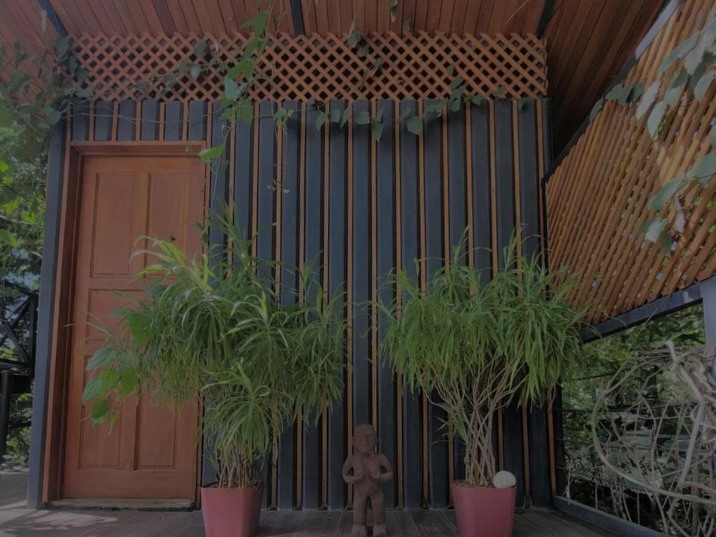 Fotografie z fotogalerie ubytování Cocolhu Treehouse & Ocean View v destinaci Tamarindo