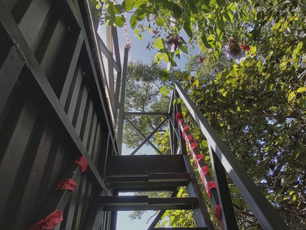 Zahrada ubytování Cocolhu Treehouse & Ocean View