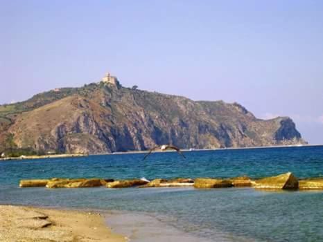 a bird flying over the water with an island at Le Stelle Del Tirreno in Falcone