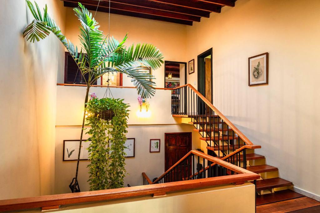 Fotografie z fotogalerie ubytování Casa Orquídea Panamá v destinaci Panamá