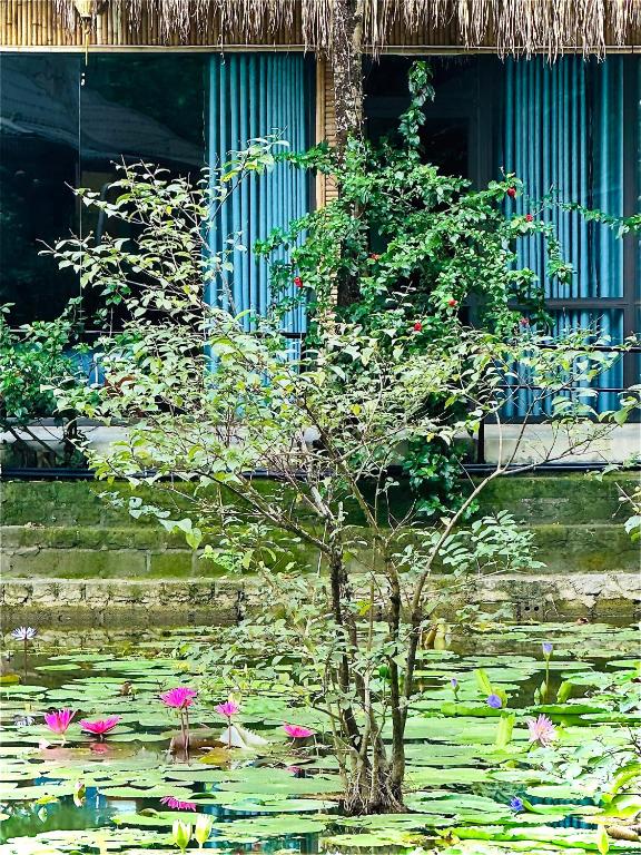 Zahrada ubytování Green Valley Homestay - Thung Lũng Xanh