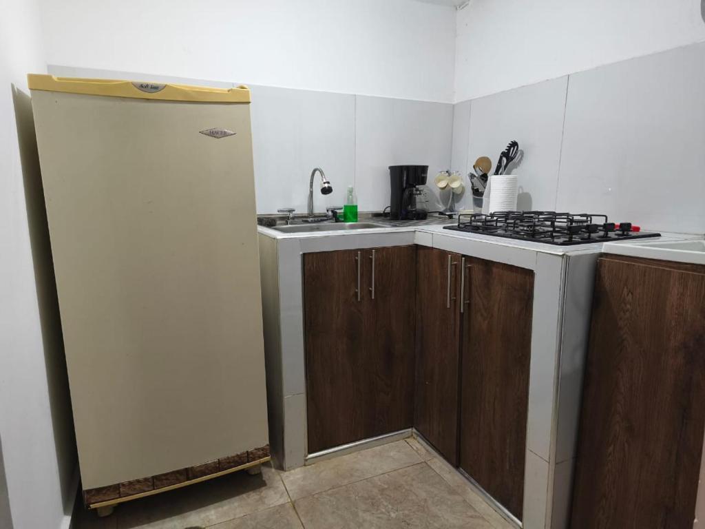 Central Campestre Apartment