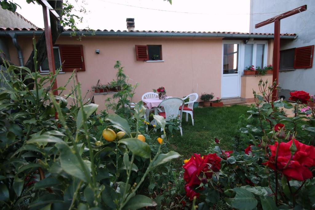 Apartment Matej