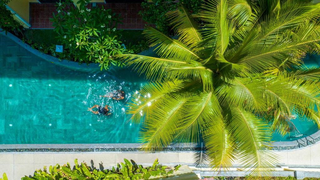 Hồ bơi trong/gần Ahoy Hoi An Boutique Resort & Spa