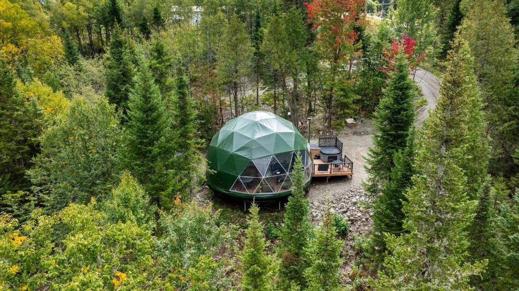 a green iguana tent in the middle of a forest at Les Domes de la Riviere Alick Riviere et SPA in Saint-Paul-de-Montminy