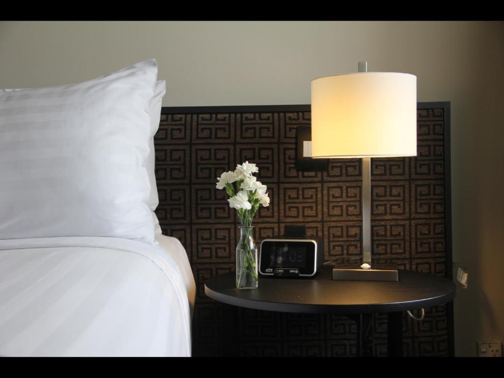 Edit Auckland Central - Resim 13