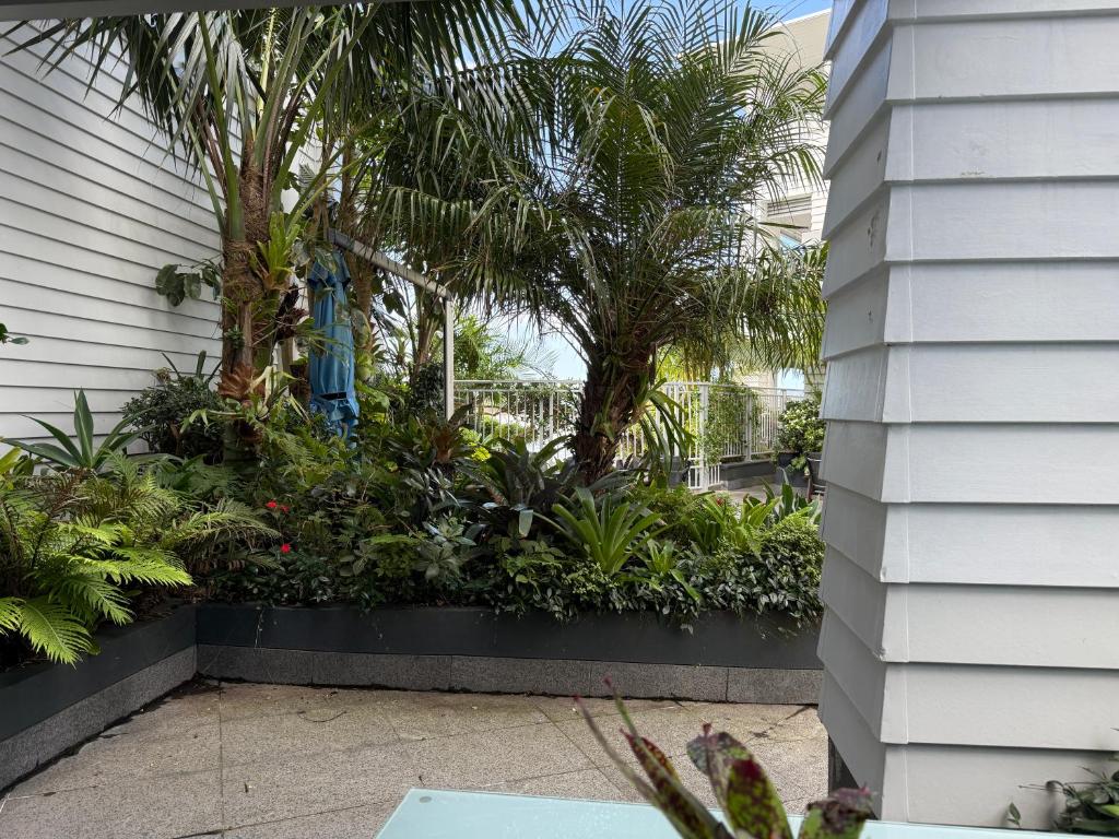 Paihia By the Sea - Resim 21