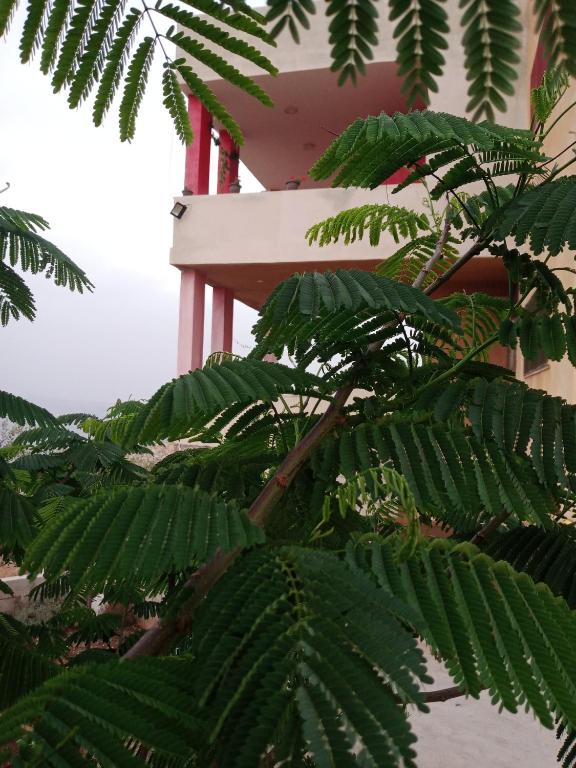 Fotografie z fotogalerie ubytování Al-Bustan House& Umm Qais v destinaci Um Qeis