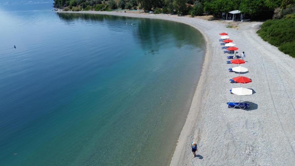 Gallery image of Armonia Elegant Apartments in Rovies