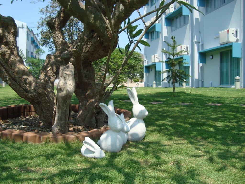 Addera Residence Hua Hin - Resim 33