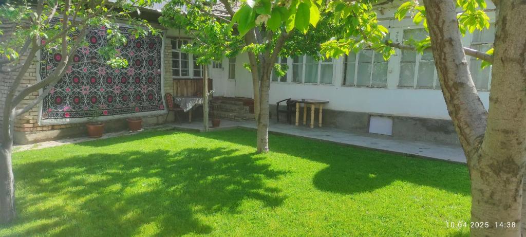 a yard with a tree and a building at ХОСТЕЛ ТаСмИн МеХр РеГиСтАн in Samarkand