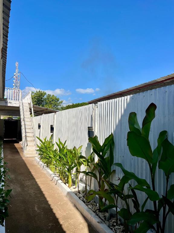 Fotografie z fotogalerie ubytování Saellahouse v destinaci Gili Trawangan