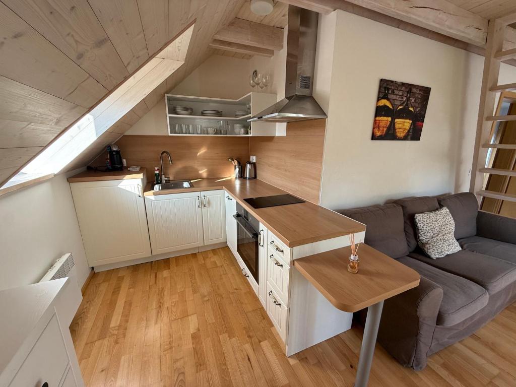 Kuchyň nebo kuchyňský kout v ubytování Apartmán U Venuše
