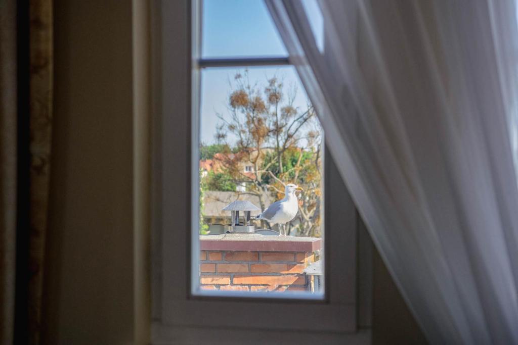 Villa Sedan - Destigo Hotels - Resim 30