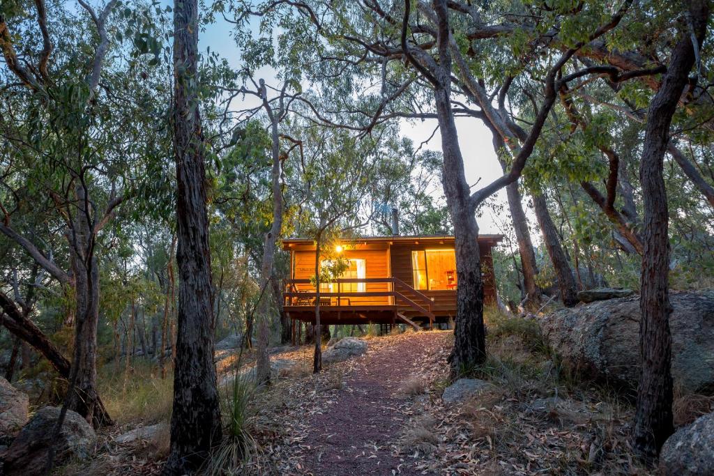 a tree house in the woods with lights on at Granite Belt Retreat and Brewery in Stanthorpe
