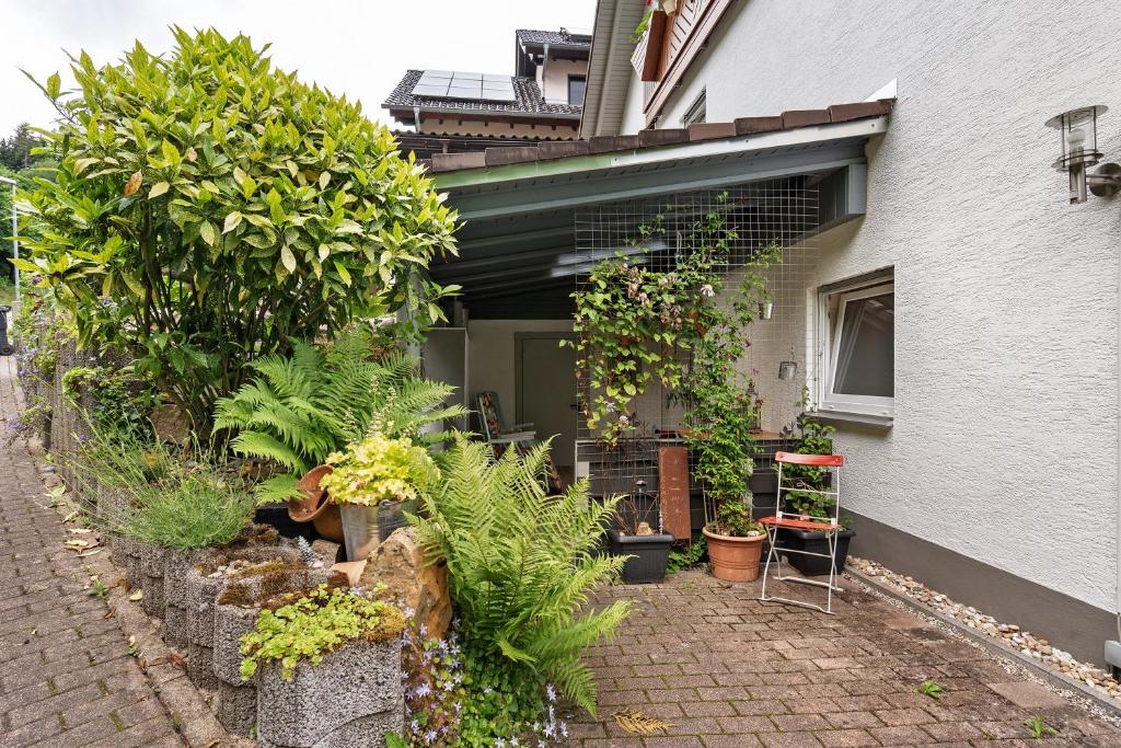 Zahrada ubytování Ferienwohnung Zapf