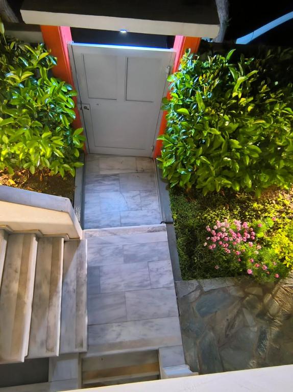 A garden outside Xtina Studio