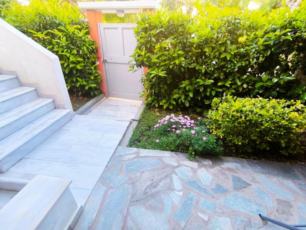 A garden outside Xtina Studio