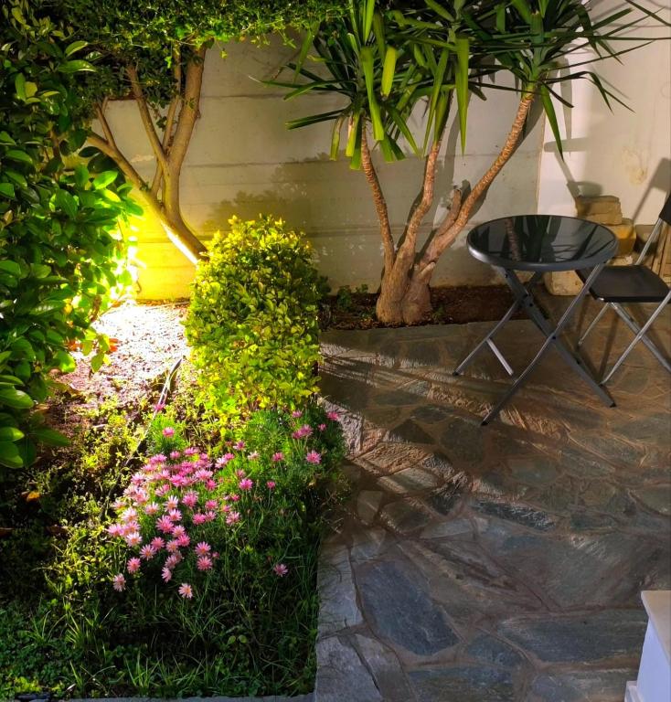 A garden outside Xtina Studio