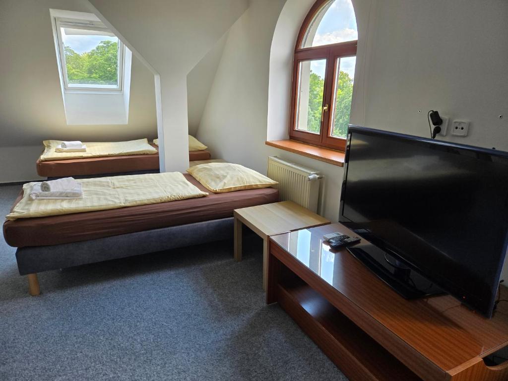TV a/nebo společenská místnost v ubytování Hotel Restaurant Na Statku
