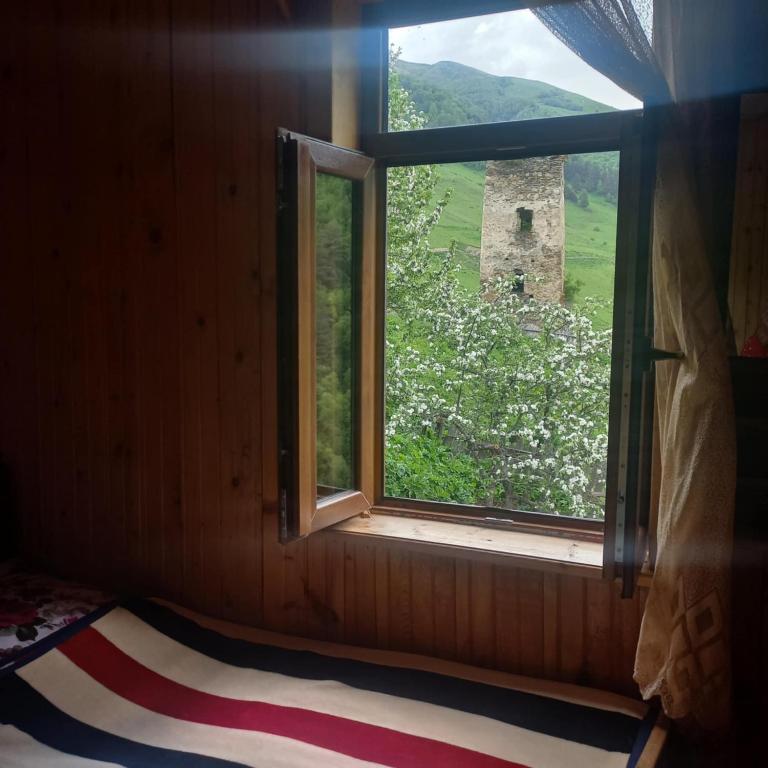 Fotografie z fotogalerie ubytování Guest House Zhora Kaldani v destinaci Adishi