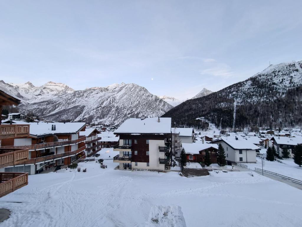 Příroda nedaleko apartmánu