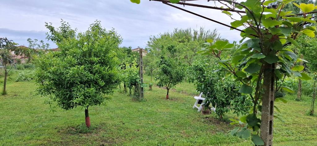 Zahrada ubytování Al Cortile Tranquillo