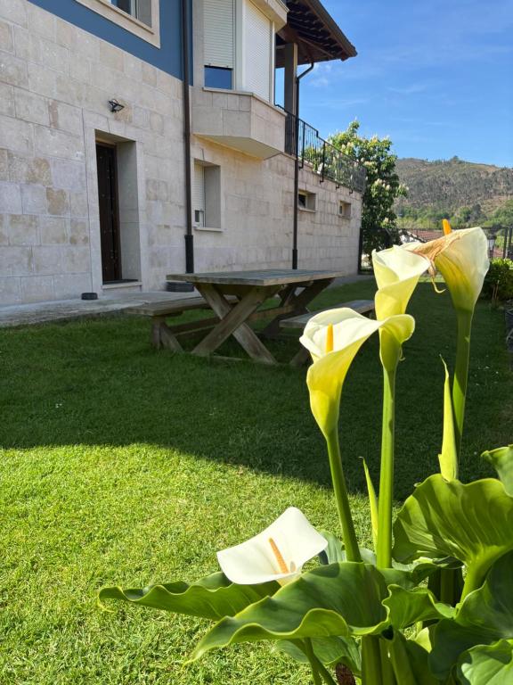 Zahrada ubytování Apartamentos Cangas Relax