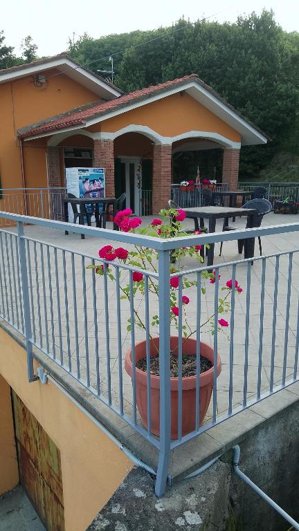 a porch with a pot of flowers on a railing at Agriturismo Ca' del Monte in Chiama