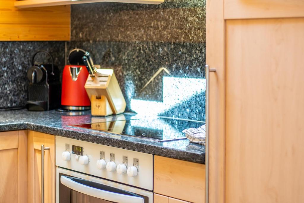 Kuchyň nebo kuchyňský kout v ubytování Chateau Penthouse