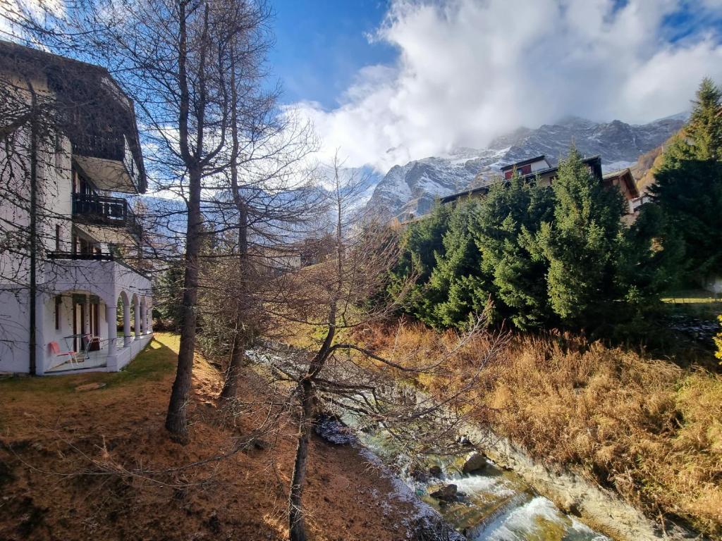Příroda nedaleko apartmánu