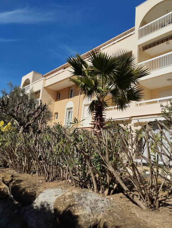 un palmier devant un bâtiment dans l'établissement T3 cavalaire dans résidence avec piscine, à Cavalaire-sur-Mer