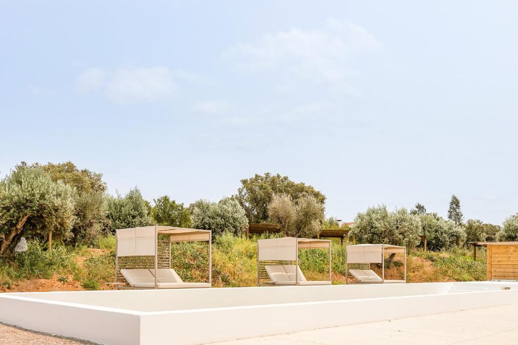 Fotografie z fotogalerie ubytování Gandum Village - Conscious Boutique Hotel v destinaci Montemor-o-Novo