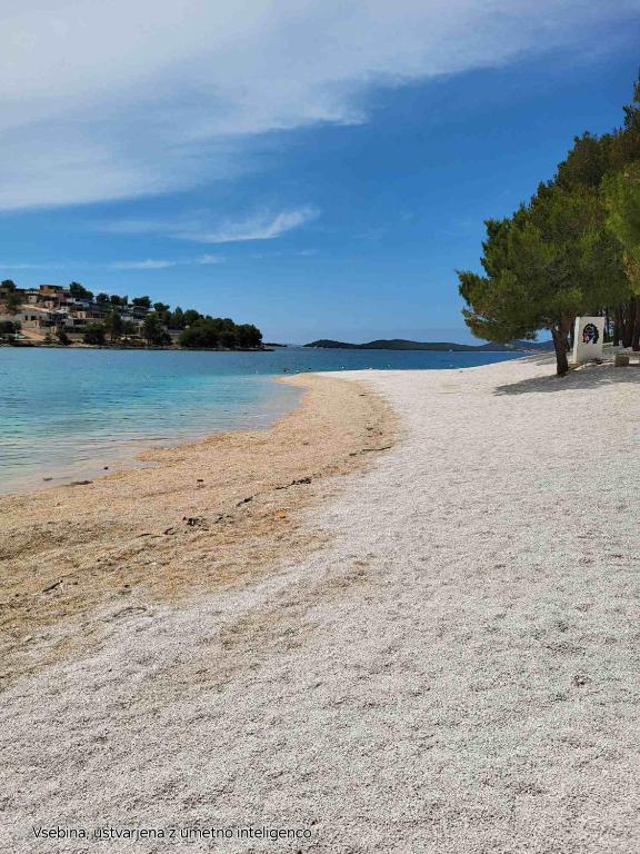 a sandy beach with a tree and the water at Mobile Home Sea Shell Šime, Drage in Drage
