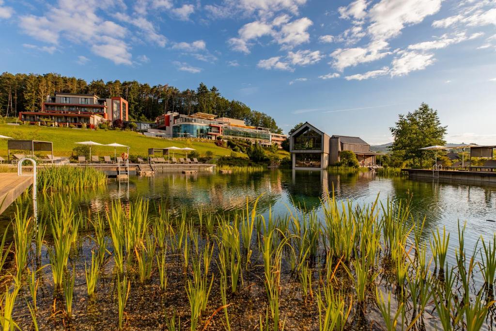 Blick auf einen See mit Gebäuden im Hintergrund in der Unterkunft Pfalzblick Wald Spa Resort in Dahn