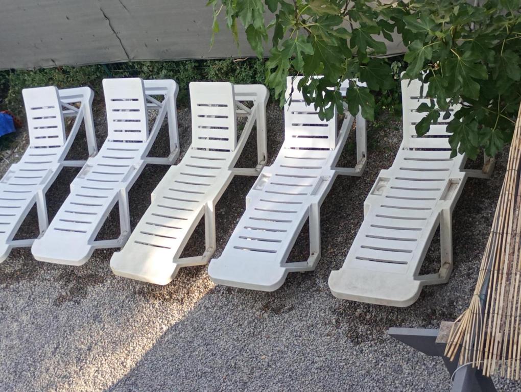 quatre échelles blanches sont alignées à côté d'un arbre dans l'établissement Le clos joli, à Argelès-sur-Mer