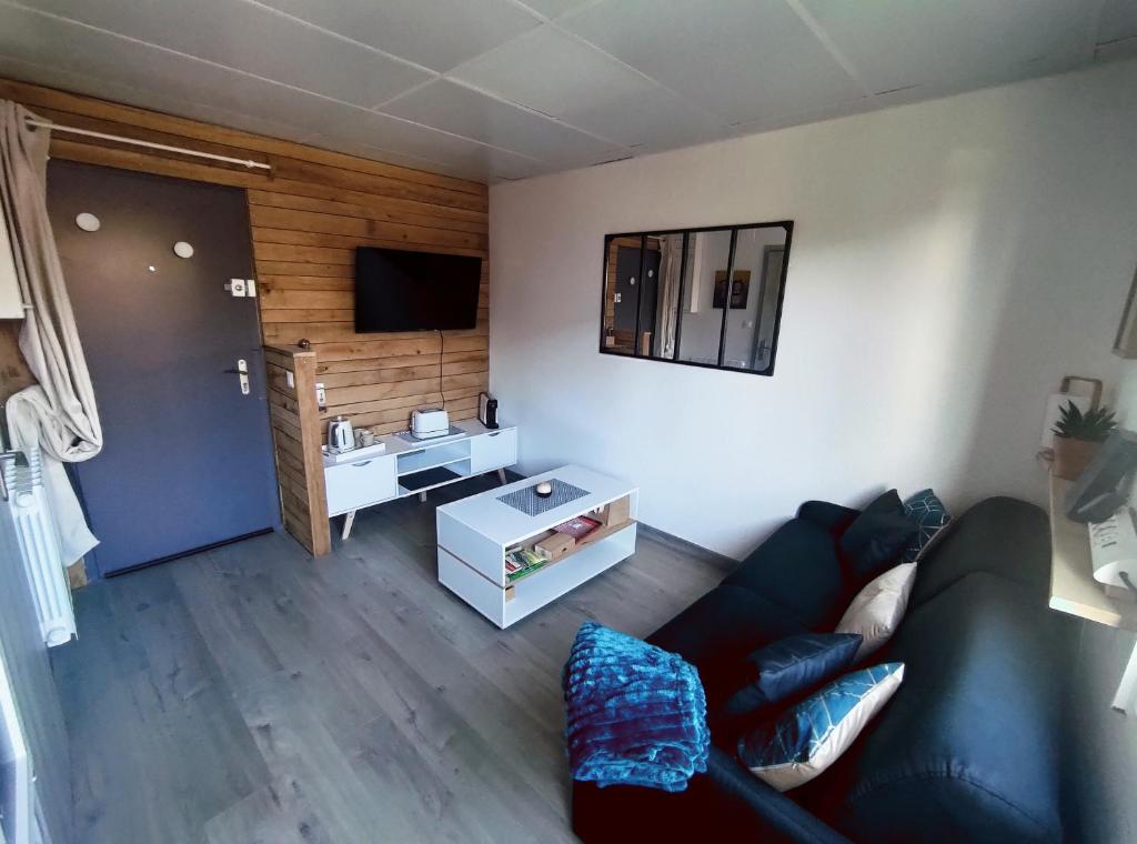 un salon avec un canapé et une télévision dans l'établissement Le Petit Coolmar, à Colmar