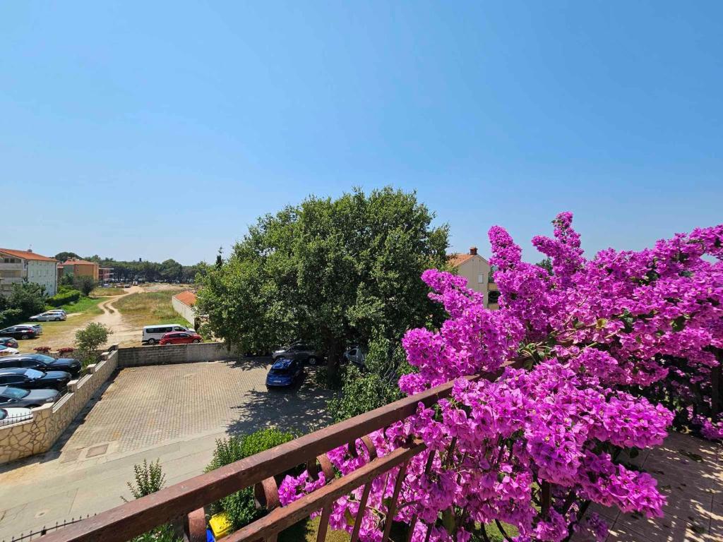Two-Bedroom Apartment in Medulin VII