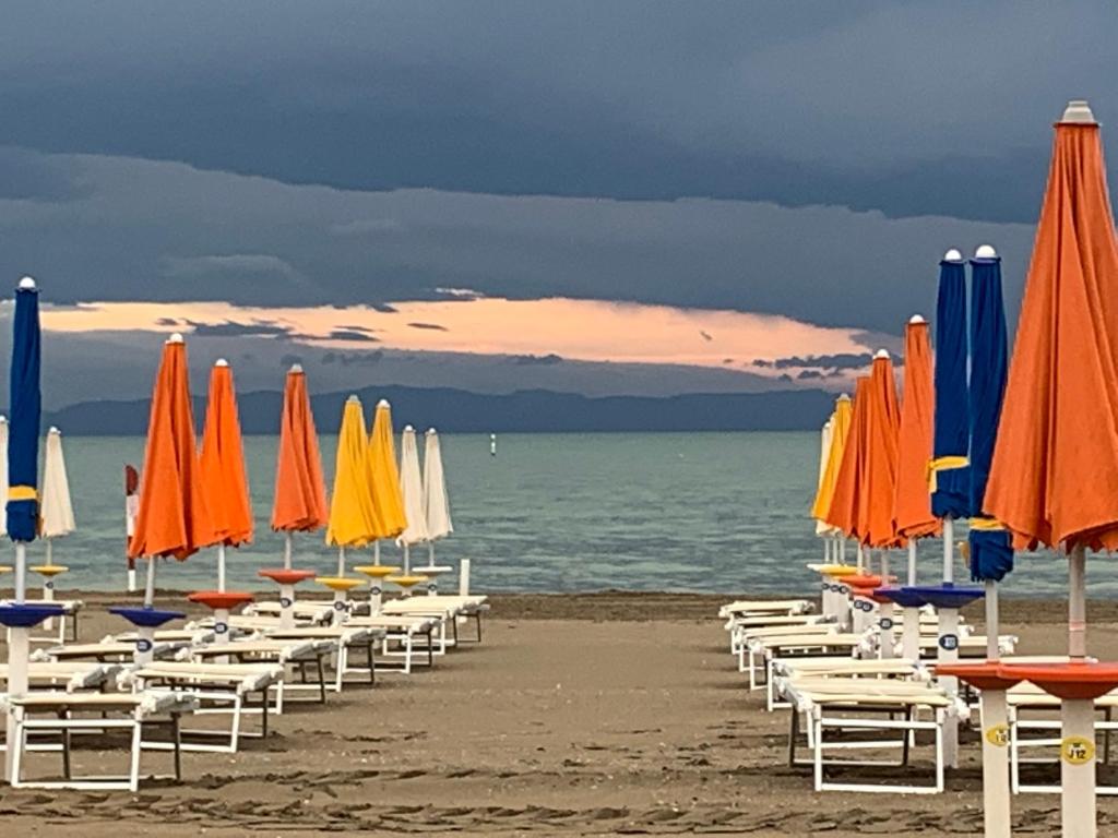 a row of umbrellas and chairs on a beach at Open space centre in Lignano Sabbiadoro