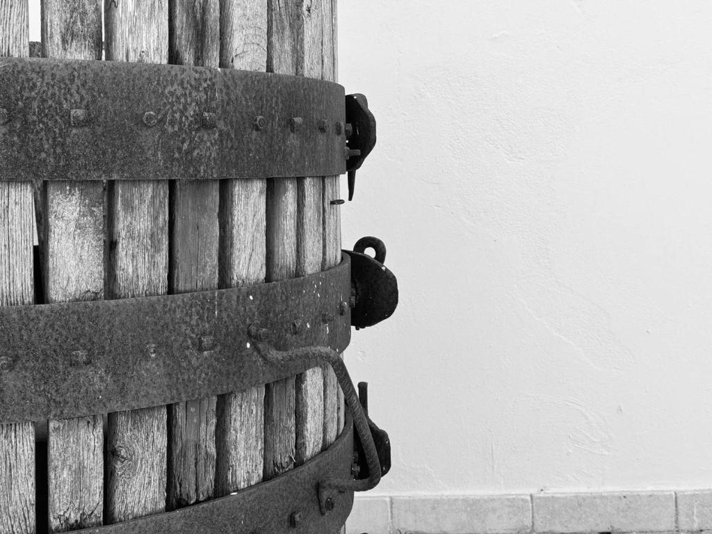Fotografia z galérie ubytovania Villa B&B Antiche Macine del Salento - nel cuore del Salento v destinácii Salve