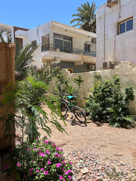 rower zaparkowany przed domem z kwiatami w obiekcie A bohemian-style studio in dahab w mieście Dahab