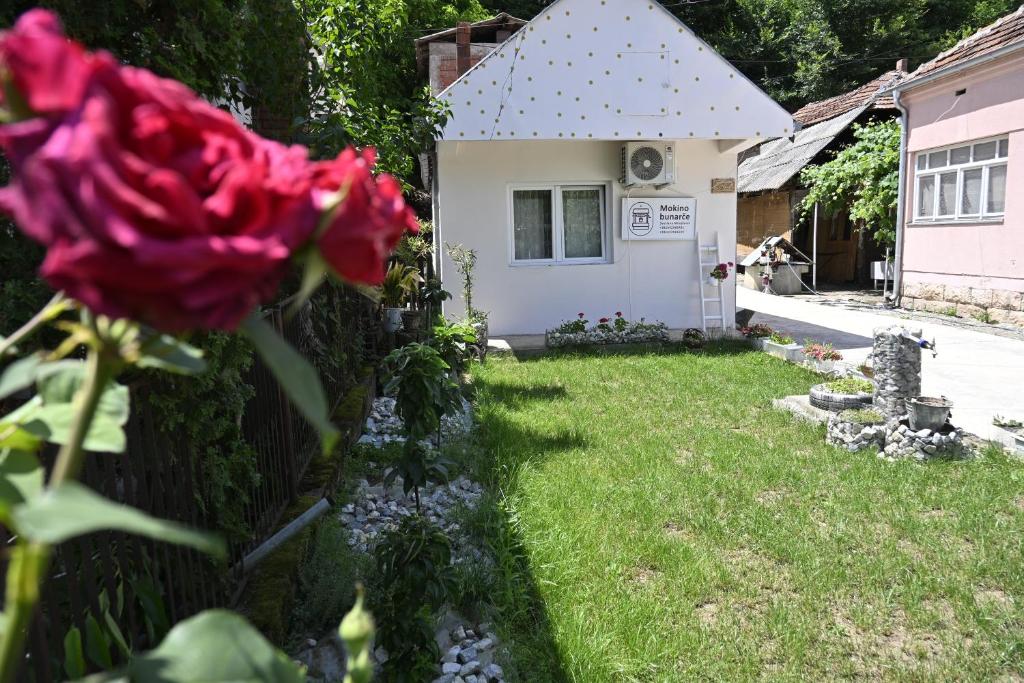 Zahrada ubytování Mokino bunarče