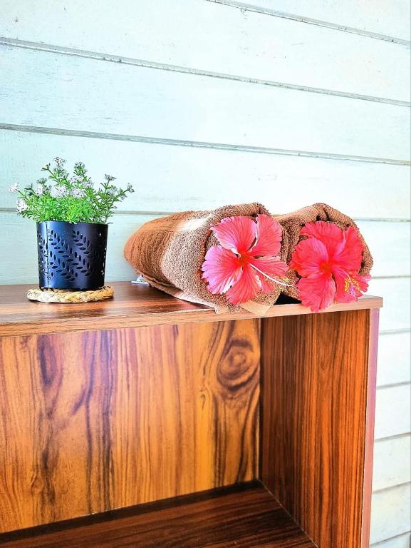 Fotografie z fotogalerie ubytování Coco Corals v destinaci Matara