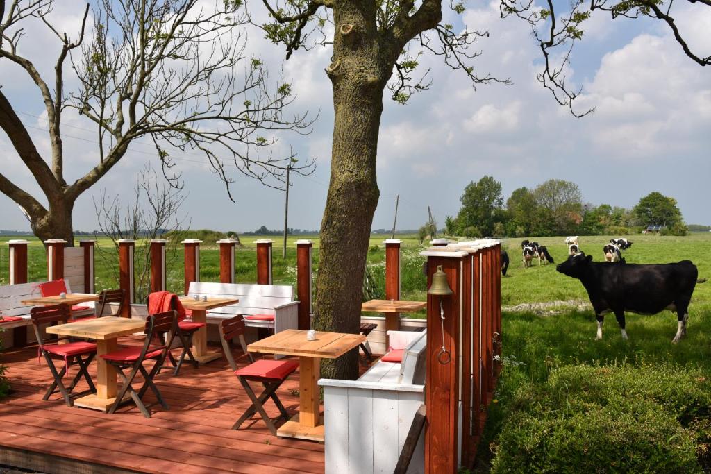 une terrasse avec des tables et des chaises et une vache dans un champ dans l'établissement Countryside Eco Natuurhuisjes, à Ee