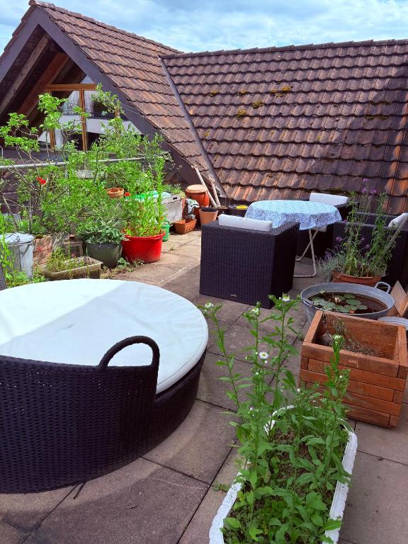 Zahrada ubytování Loft Bottighofen
